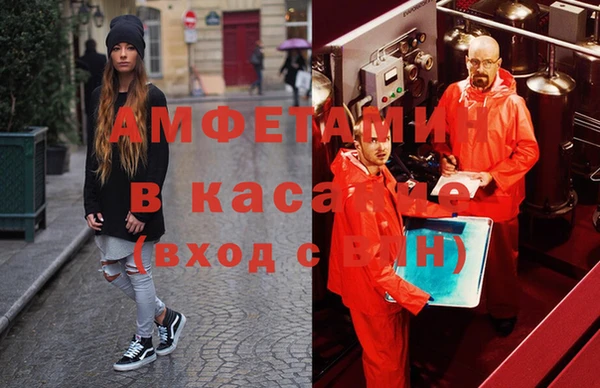 прущие грибы Беломорск