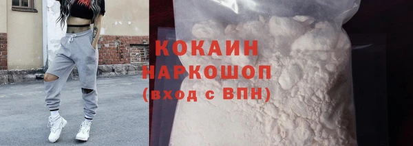 прущие грибы Беломорск