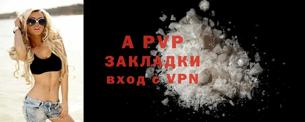 прущие грибы Беломорск
