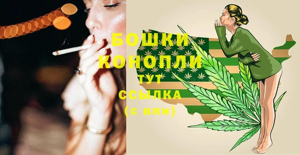 прущие грибы Беломорск