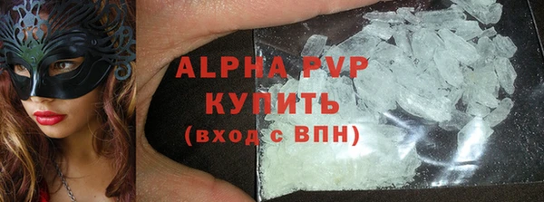 прущие грибы Беломорск