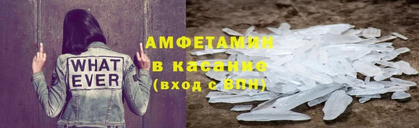 прущие грибы Беломорск